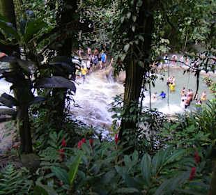 Dunn´s River Falls