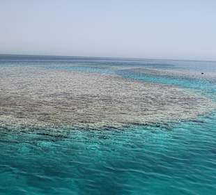 Wunderschöne Riffe / Schnorchelstopp