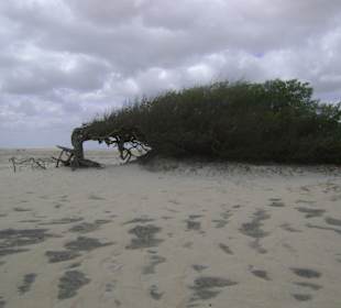 Buggy tour lagoa de paraiso
