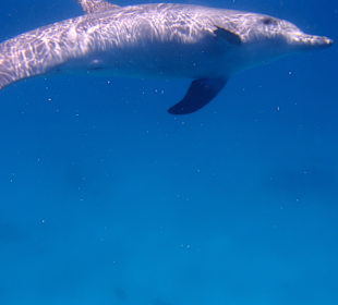 Es war einfach unbeschreiblich schön!