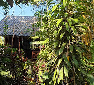 Kuang Si Butterfly Park