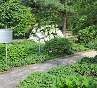 Eindrücke vom Rundgang durch den Park der Gärten