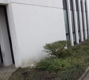 Neuapostolische Kirche Nürtingen