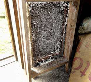 Sieb nach der Zerkleinerung der Wurzeln