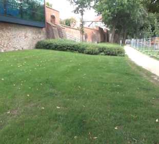 Meeresmuseum Stralsund