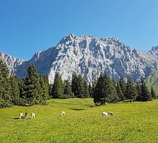 Wandern Murnau am Staffelsee