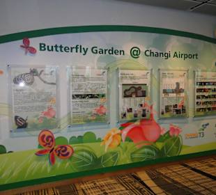 Changi airport