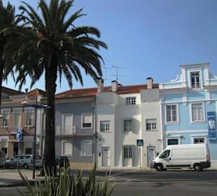 Schöne Häuser und Palmen