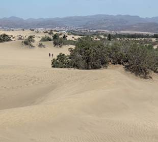 Dünen von Maspalomas