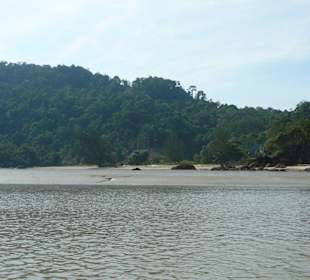 Bako Nationalpark - Küste