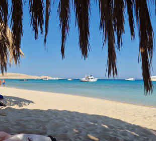 Giftun / Mahmya Inseln