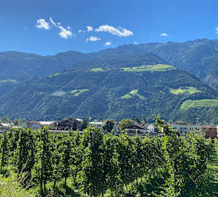 Wandern Naturno / Naturns