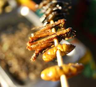 Lamai Walking Street