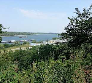 Podul Saligni 
