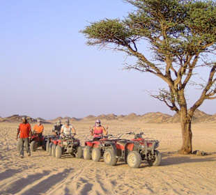 Kleine Pause an unserem Bäumchen