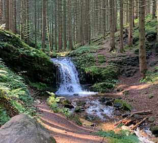 Wandern Friedrichroda