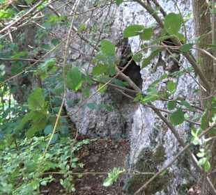 Hochgeträumt Premiumwanderung