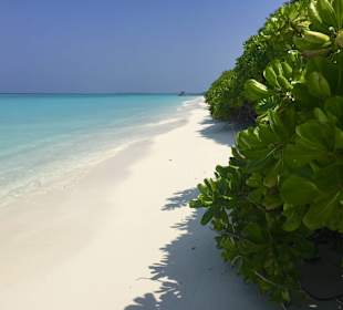 Beach Hanimaadhoo