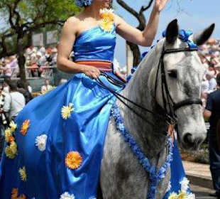 Madeira Horse Riding - Quinta do Riacho