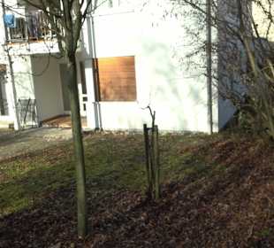 Katholisches Pfarramt St. Petrus Lustnau