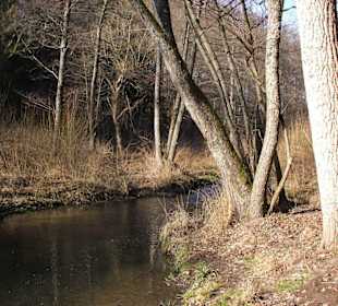 Schönbuch/Schaichtal im Winter