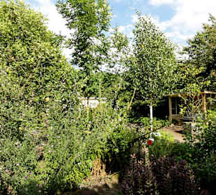 Rundgang durch den Botanischen Garten Oldenburg