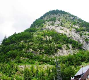 Der Plöckenpass 06-2011