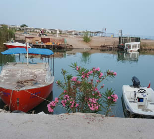 Hafen Evrenseki