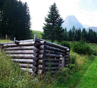 Altes Holzhaus