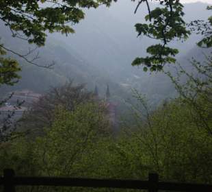Foto del valle de covadonga