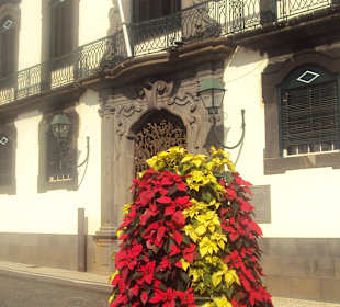 Stare Miasto Funchal