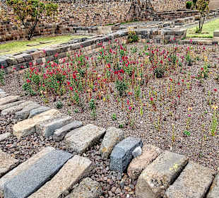 Stadtrundgang Cuzco - Kusicancha