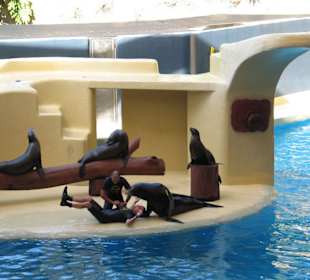 Loro Parque