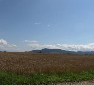Hochgehnießen - Premiumspazierwanderweg