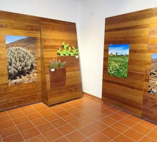 In den Räumen des Museo del Queso Majorero