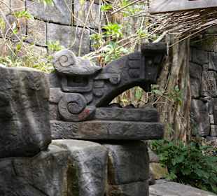 Aussenanlage Dschungel Aquarium Palma