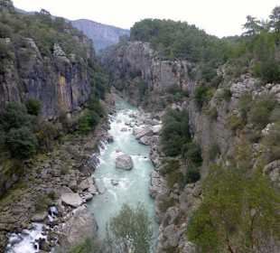 Im Nationalpark 