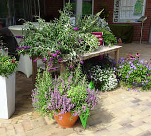 Rundgang durch den Park der Gärten