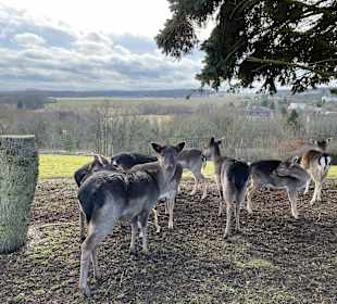 Wandern Güntersberge