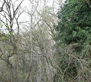 Wanderung rund um das Rusenschloss Gerhausen