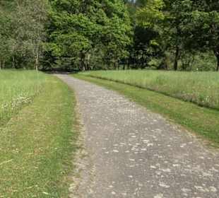 Kurpark Bad Niedernau