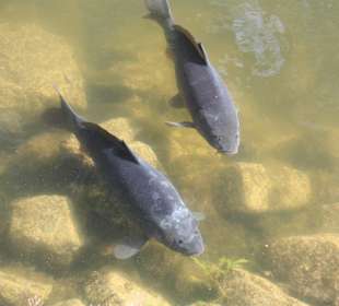 ZOOM Erlebniswelt Gelsenkirchen