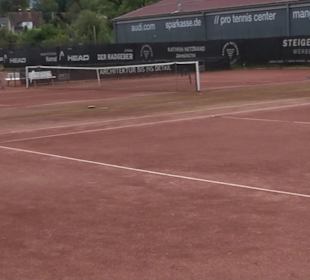 Tennis-Club Lindau 1930 e.V.