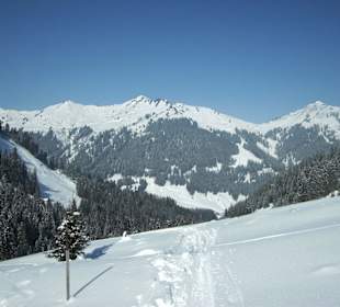Blick zum Walmendingerhorn