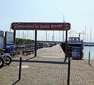 Hafen Breege