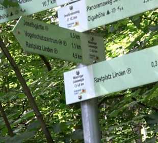 Premiumspazierweg Früchtetrauf-Leisawegle