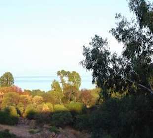 Panorama from terrace 