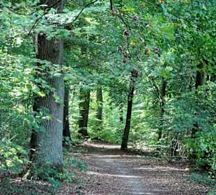 Spaziergang durch den Tiergarten Delmenhorst