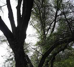 Walderlebnisweg Rottenburg