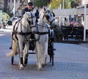 Kutschfahrt in Meran